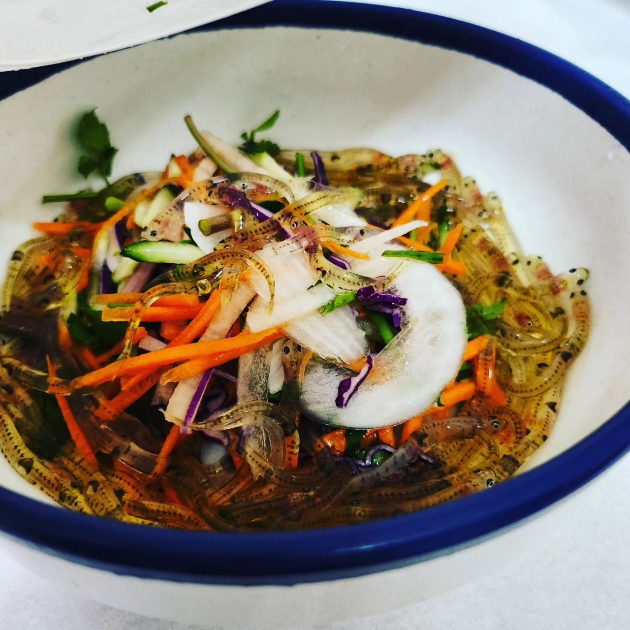 서브1