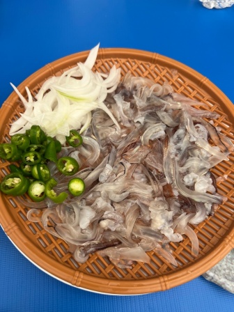 동명항오징어난전5호 , 강원특별자치도 속초시 중앙로 214-1