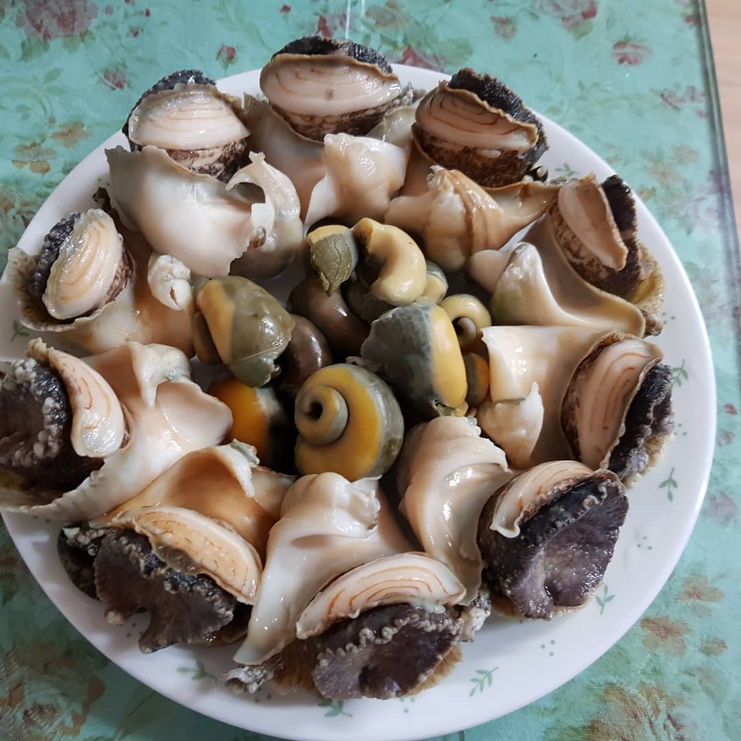 서브2