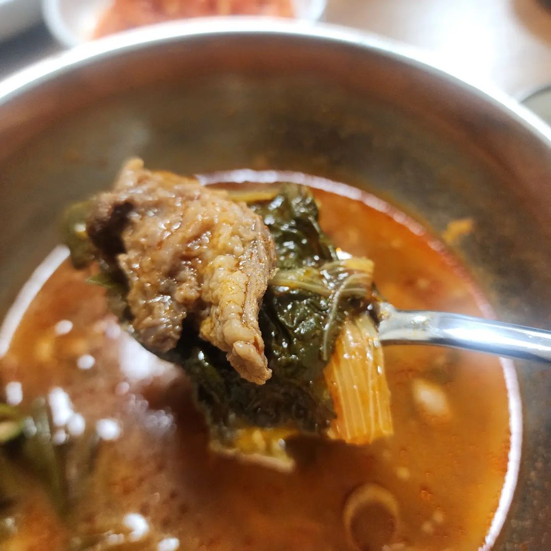 출처 : 면육당 인스타그램 검색 결과