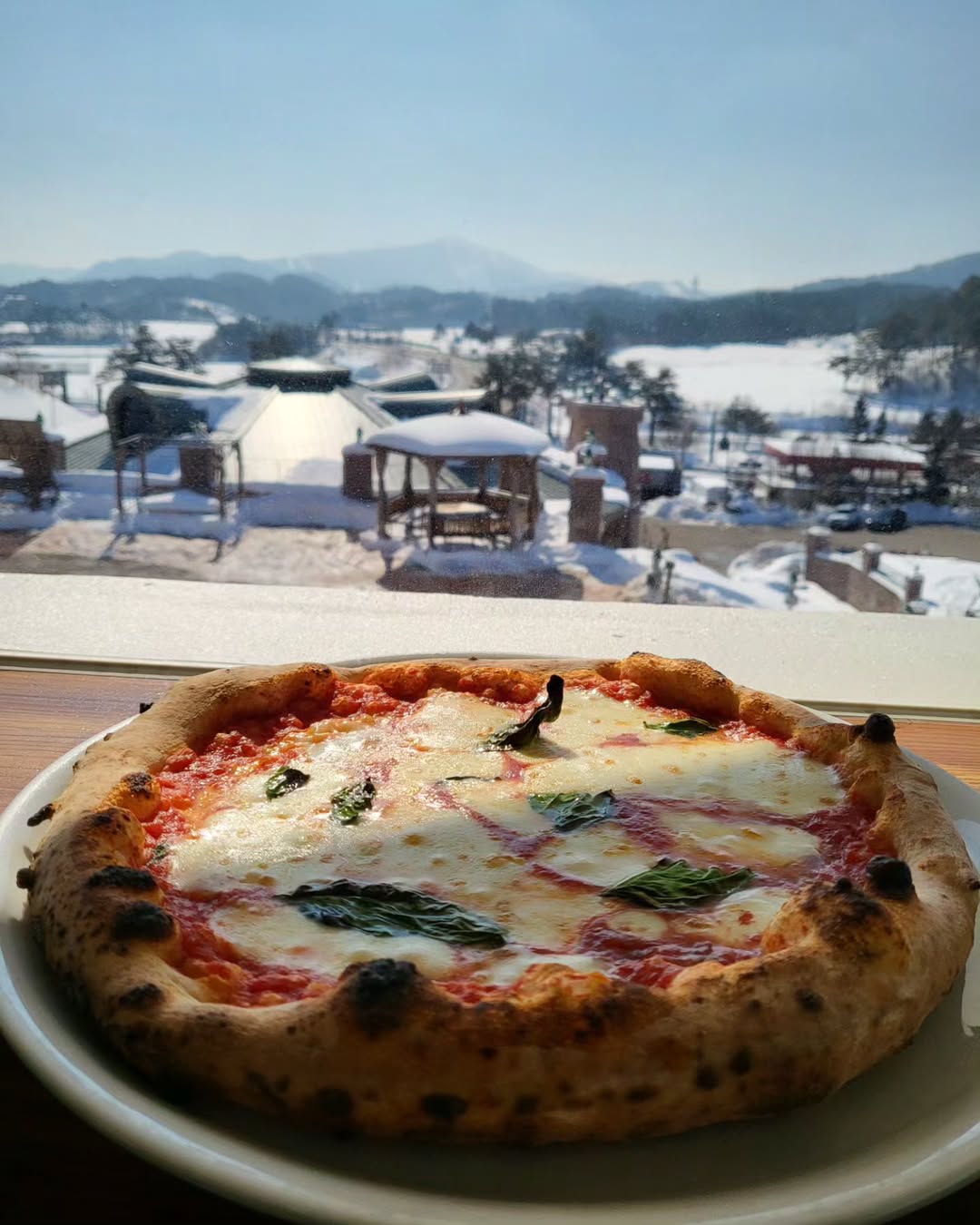 출처 : 나폴리피자 대관령본점 인스타그램 검색 결과