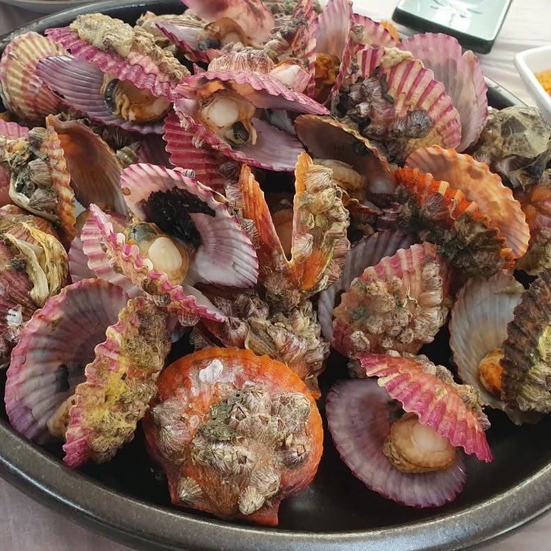 서브2