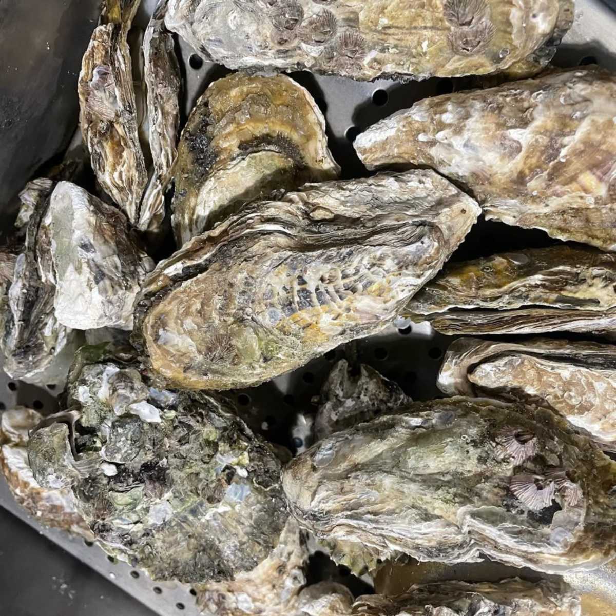 계절별미 - 서울 강남, 개봉 오류 고척 | 맛집검색 식신