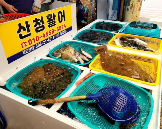 산청활어 , 경상남도 통영시 중앙로 158-8