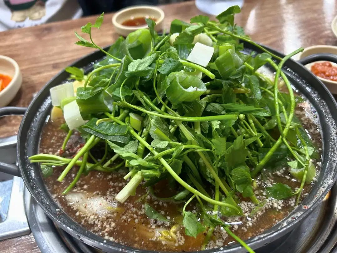 출처 : 못잊어시청점 인스타그램 검색 결과