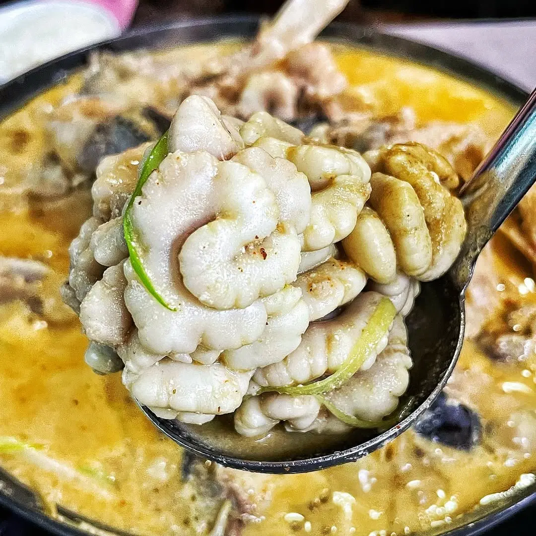 출처 : 각지불 인스타그램 검색 결과