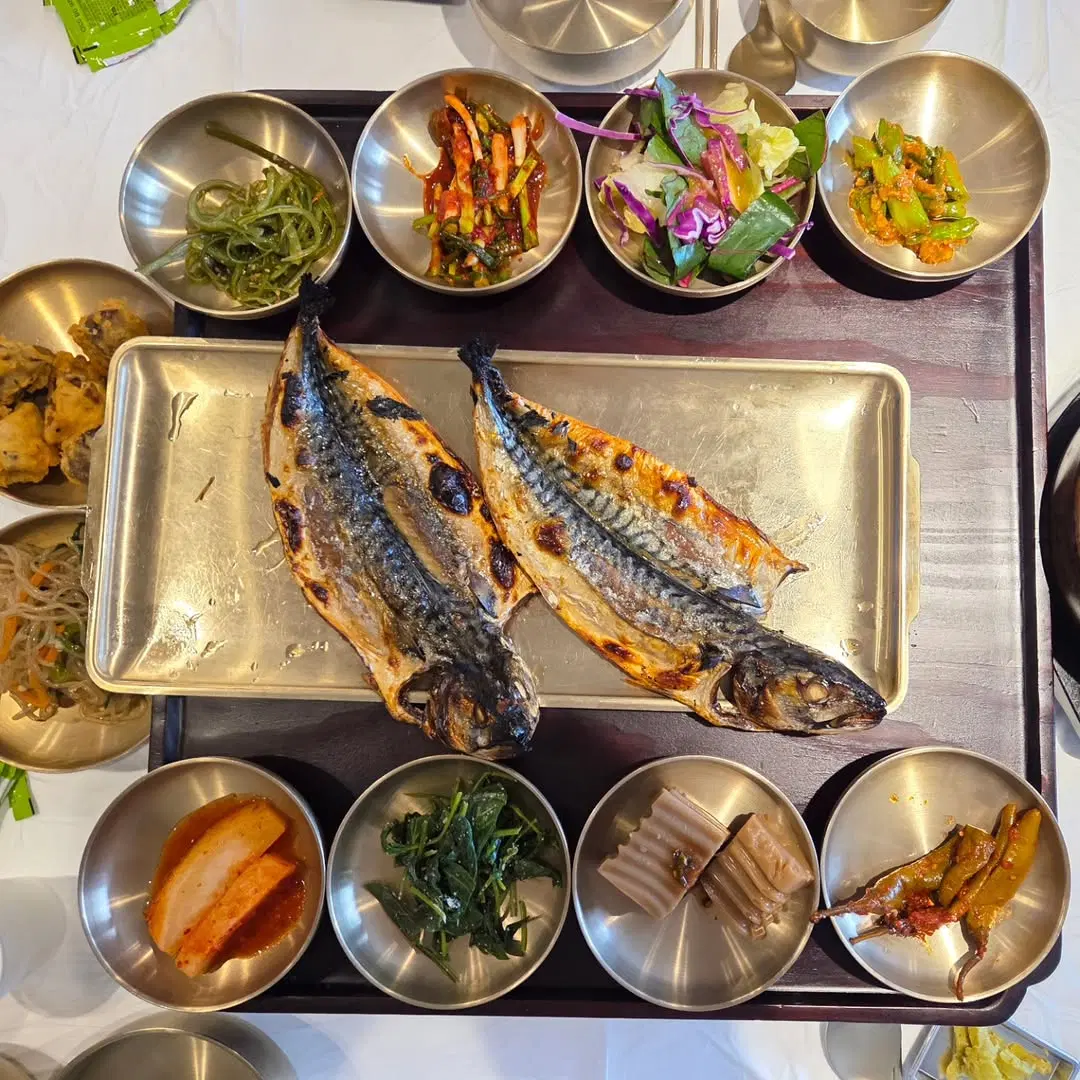 출처 : 백년고등어1750 인스타그램 검색 결과