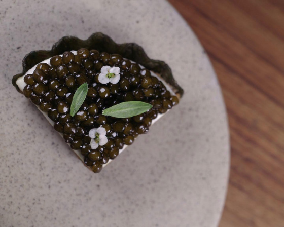 Restaurant Coda Bangkok , 130-132 Witthayu Rd, Lumphini, Pathum Wan, Bangkok 10330 태국