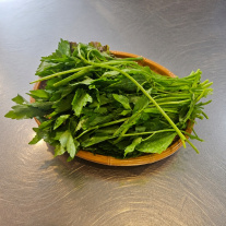 서브2