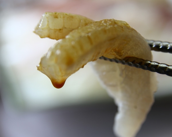 출처:rnfhehd76님의 다음 블로그