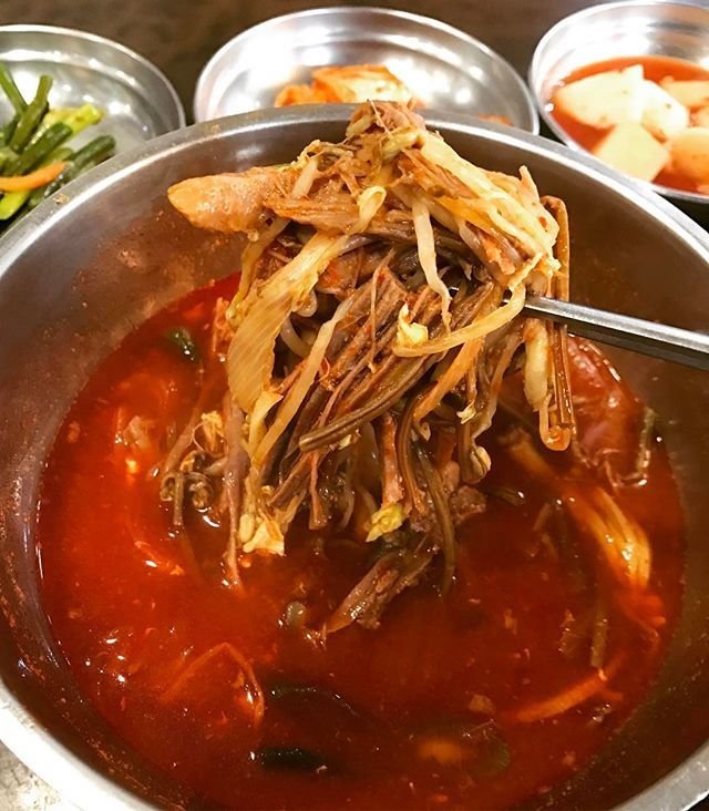 식신 : 대한민국 No.1 맛집검색,맛집추천