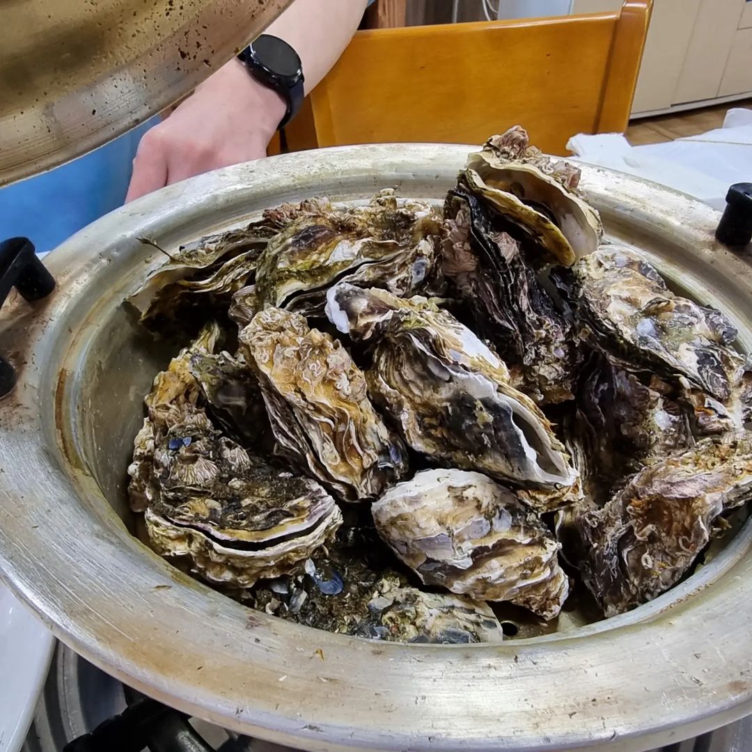 이 겨울 놓칠 수 없지! 전국 굴 맛집 5선 | 식신