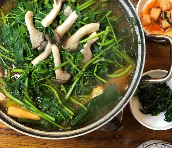 매거진 이미지