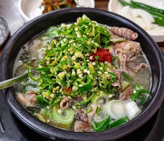 매거진 이미지