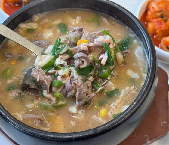 매거진 이미지