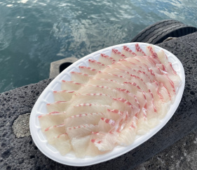 매거진 이미지