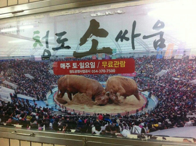 청기와감자탕등촌점 매장 방문 후 남겨주신 고객 리뷰 사진입니다.