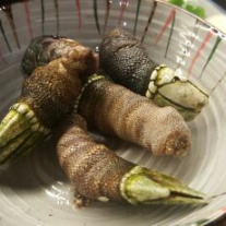 서브2