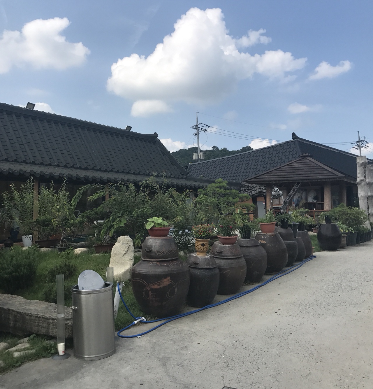 출처 : 식신 회원 '초코링' 님의 리뷰 이미지