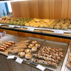 place_img