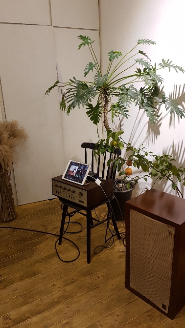 식물학 매장 방문 후 남겨주신 고객 리뷰 사진입니다.