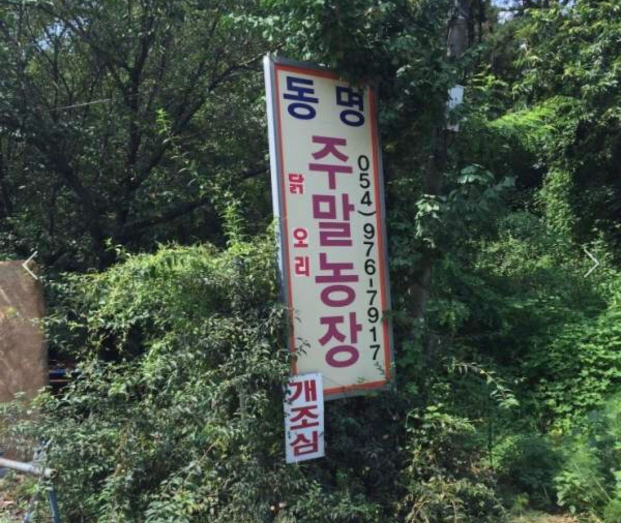 동명주말농장식당 매장 방문 후 남겨주신 고객 리뷰 사진입니다.