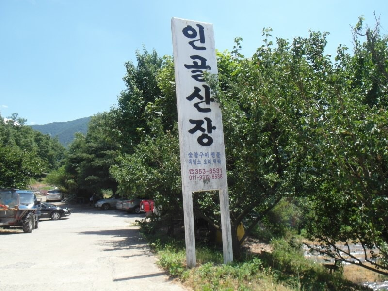 인골산장 매장 방문 후 남겨주신 고객 리뷰 사진입니다.