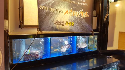 서촌백년화로 매장 방문 후 남겨주신 고객 리뷰 사진입니다.