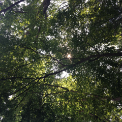 place_img