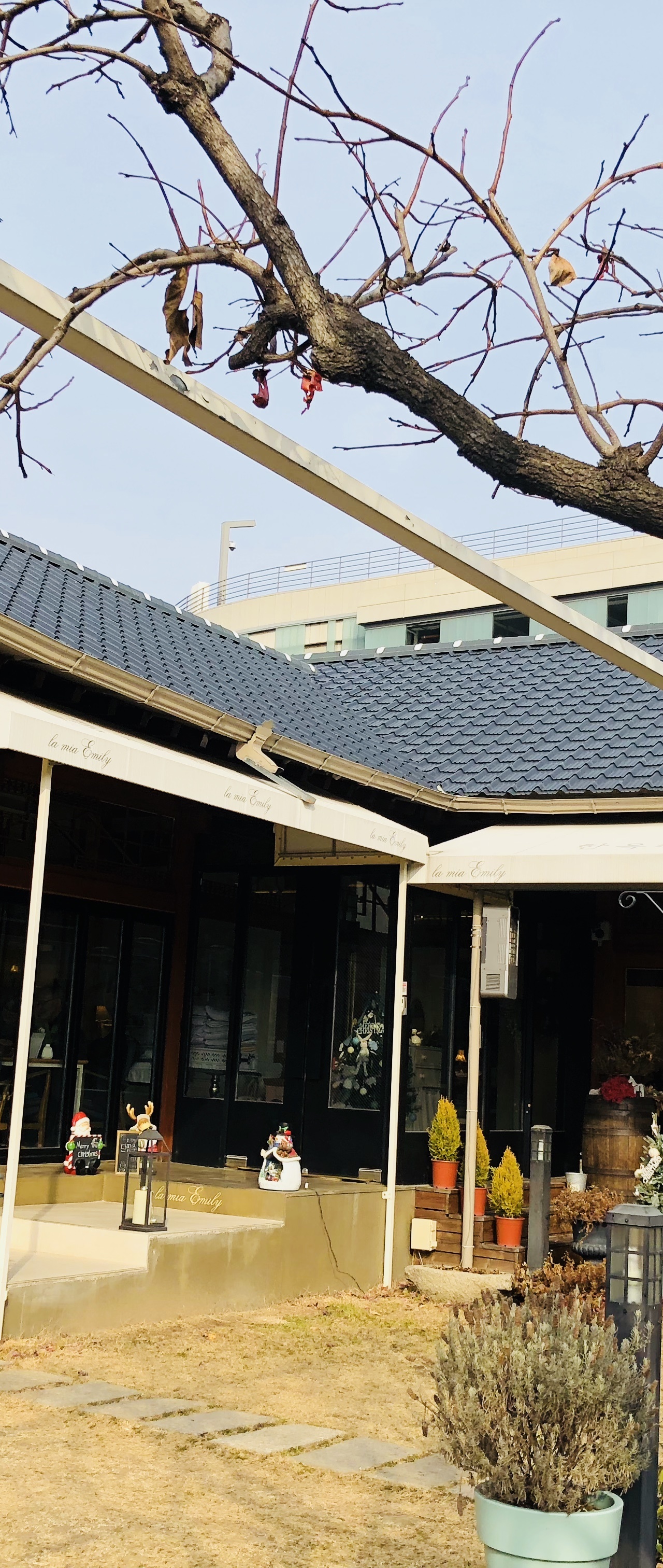 출처 : 식신 회원 '뚜미니' 님의 리뷰 이미지