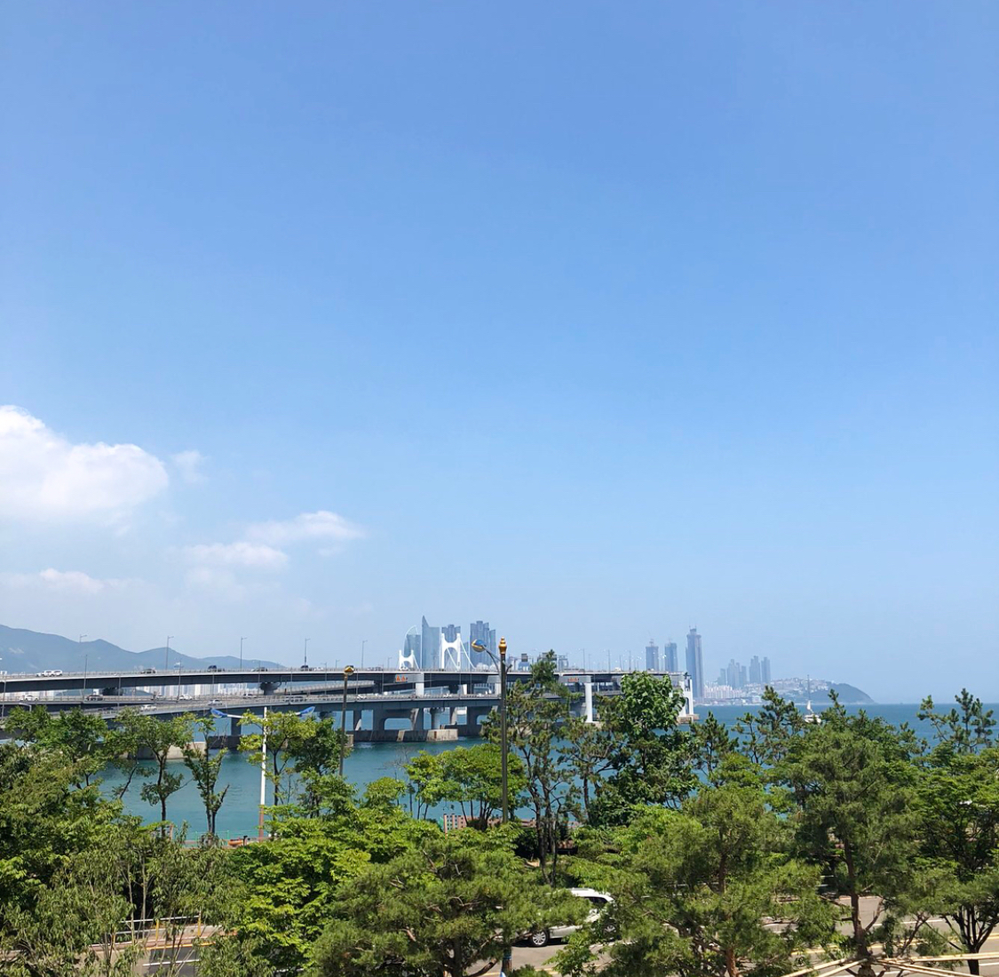 팬아시아 매장 방문 후 남겨주신 고객 리뷰 사진입니다.