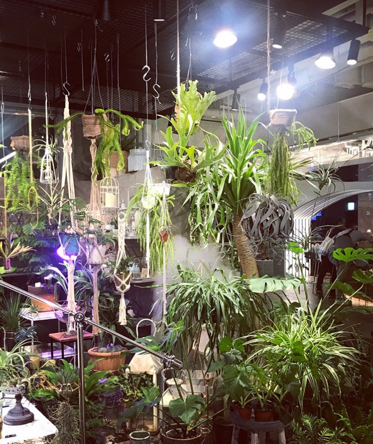 출처 : 식신 회원 '540428' 님의 리뷰 이미지