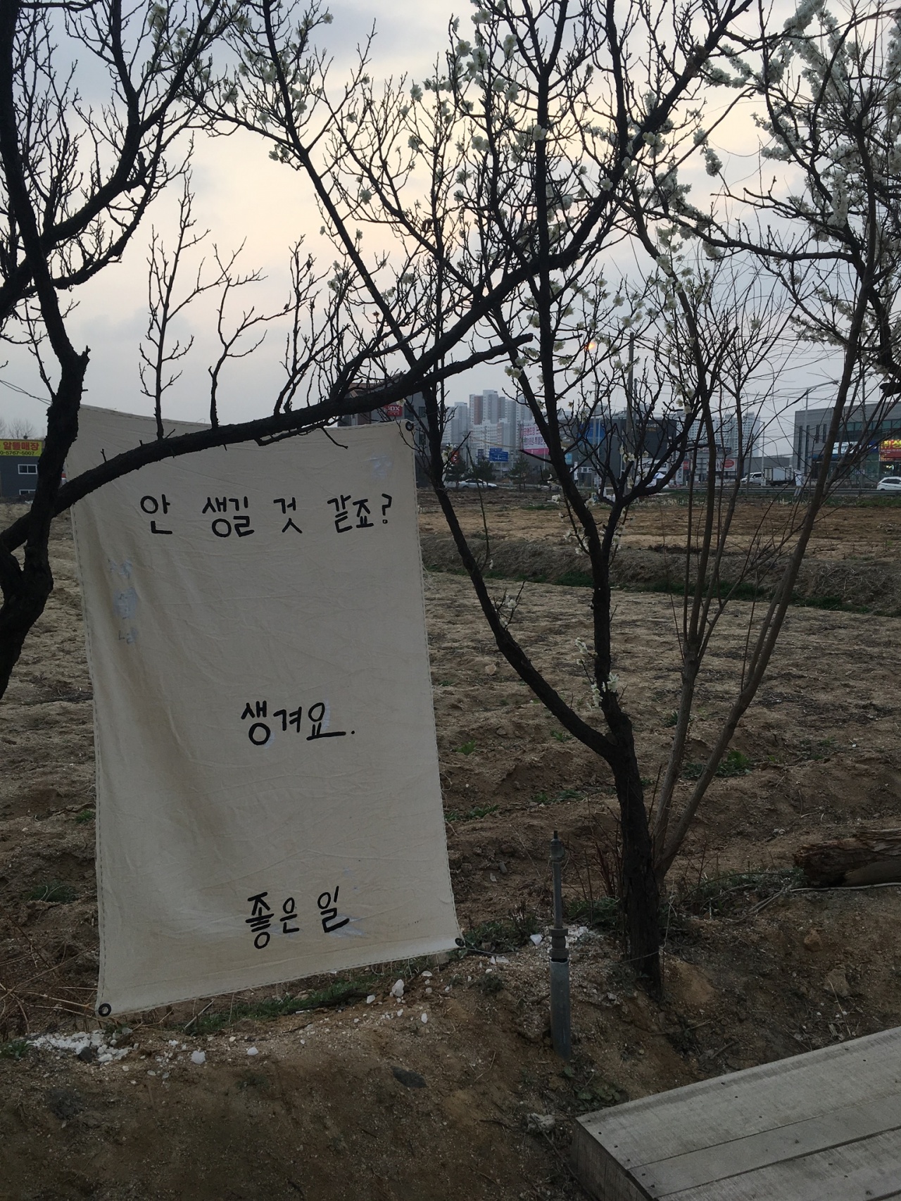 그리너리 매장 방문 후 남겨주신 고객 리뷰 사진입니다.