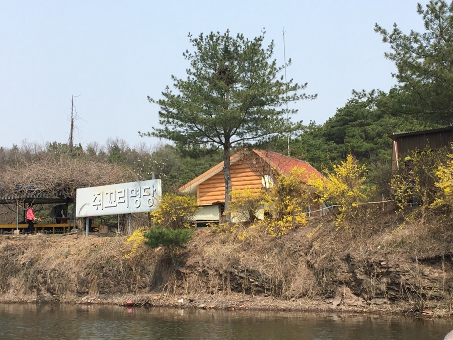 쥐꼬리명당식당 매장 방문 후 남겨주신 고객 리뷰 사진입니다.
