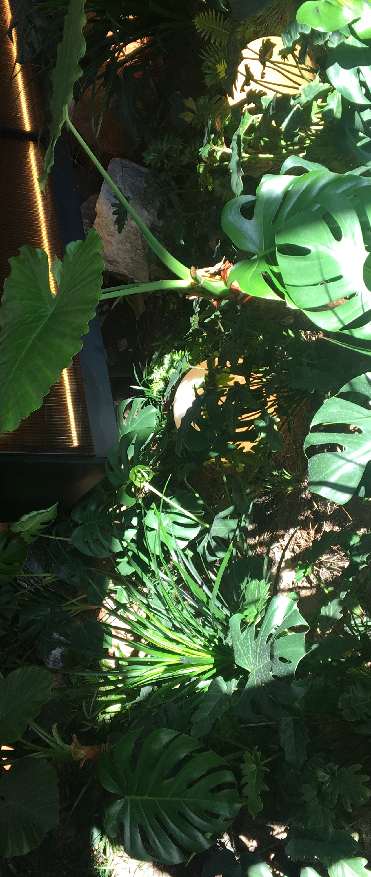 출처 : 식신 회원 '540428' 님의 리뷰 이미지