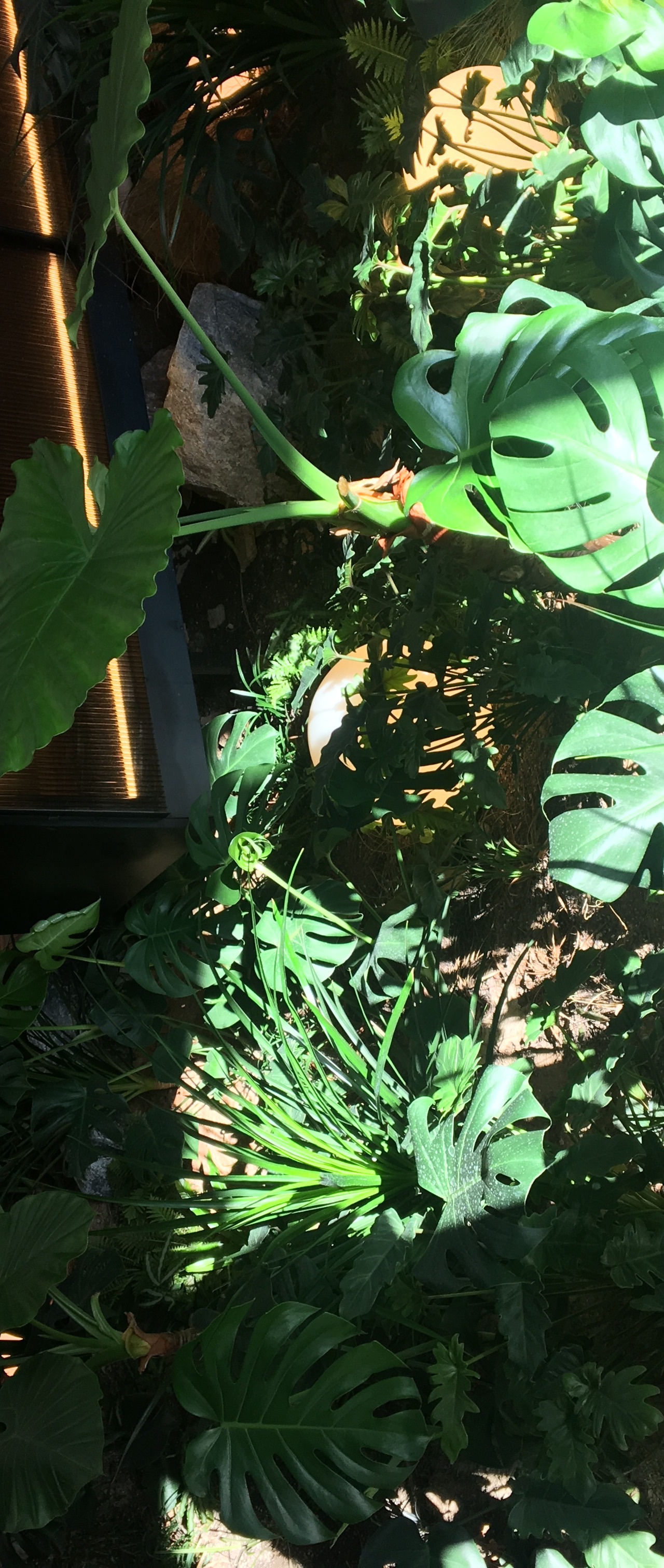 출처 : 식신 회원 '540428' 님의 리뷰 이미지