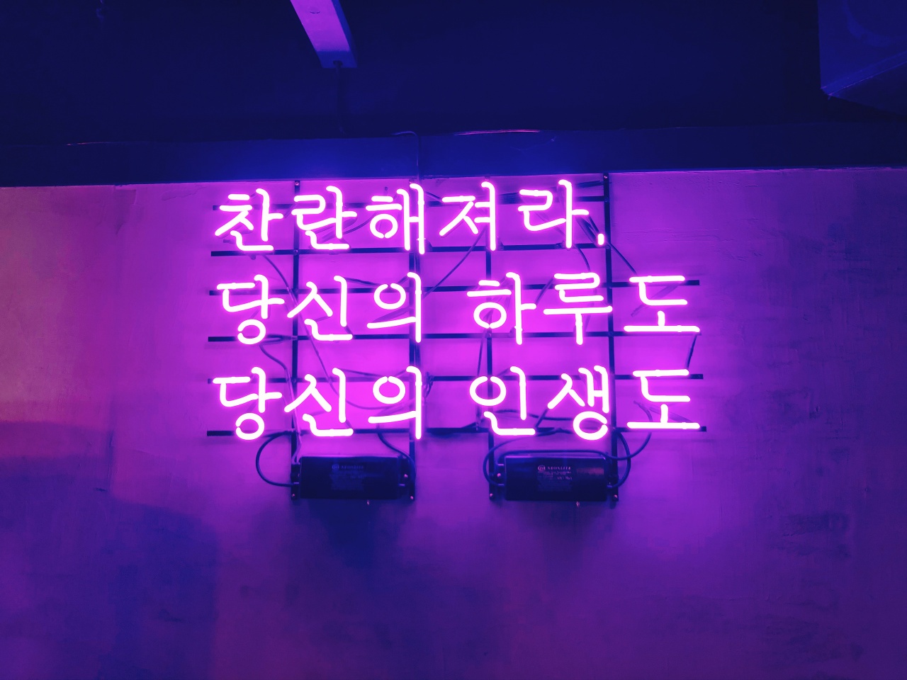 메인 이미지