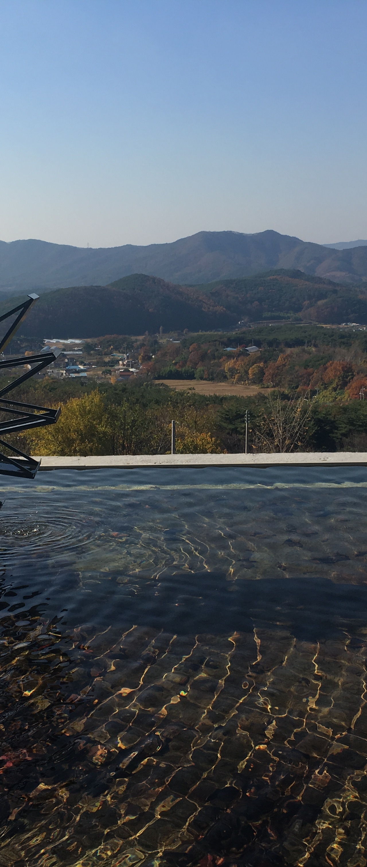 출처 : 식신 회원 '550835' 님의 리뷰 이미지