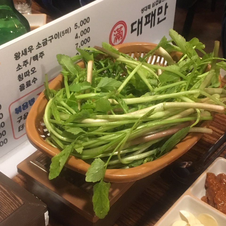 서브1