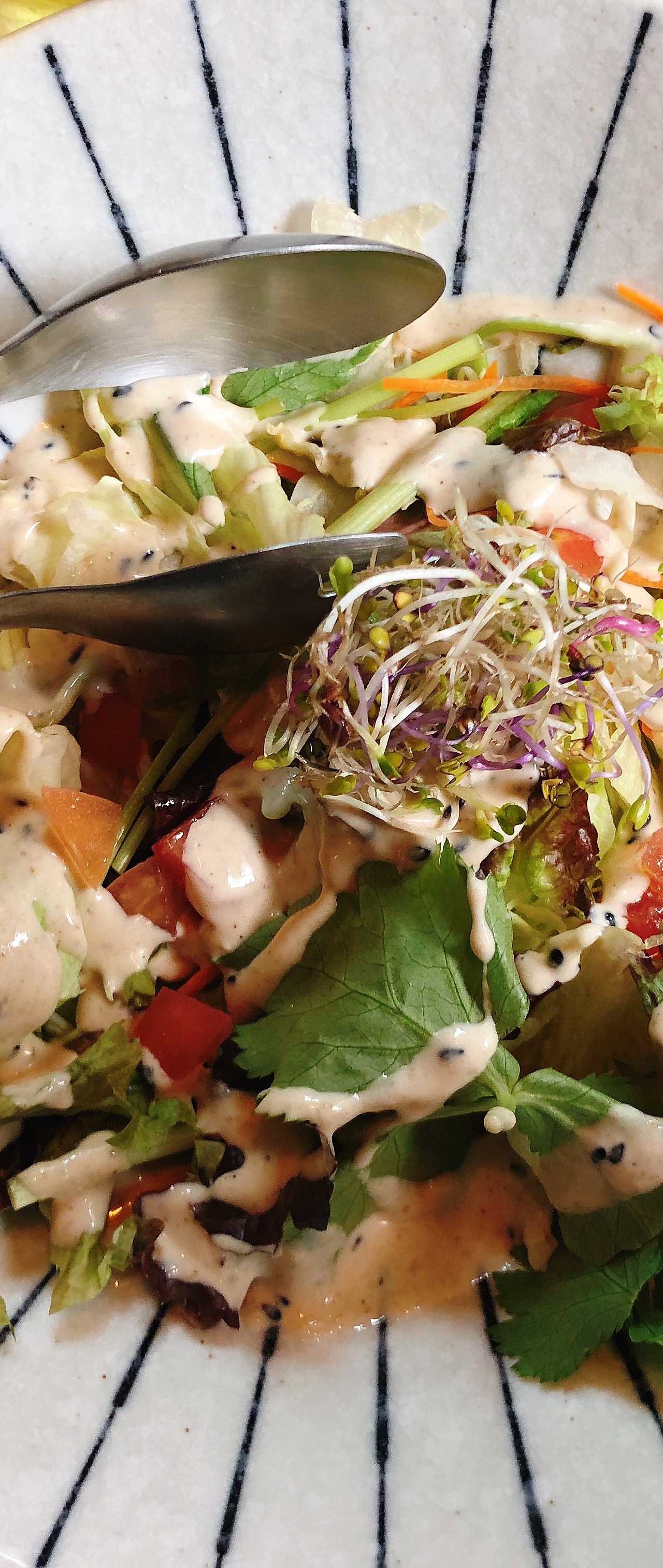 출처 : 식신 회원 '548990' 님의 리뷰 이미지