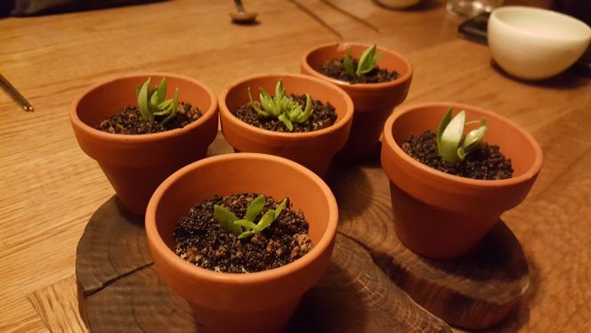 출처 : 식신 회원 '해운대땀수건' 님의 리뷰 이미지