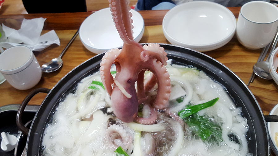 서해박속낙지 매장 방문 후 남겨주신 고객 리뷰 사진입니다.