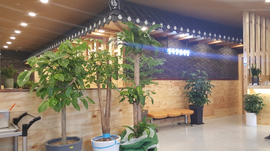경복궁삼계탕 포천점 매장 방문 후 남겨주신 고객 리뷰 사진입니다.