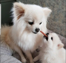 J카페 매장 방문 후 남겨주신 고객 리뷰 사진입니다.
