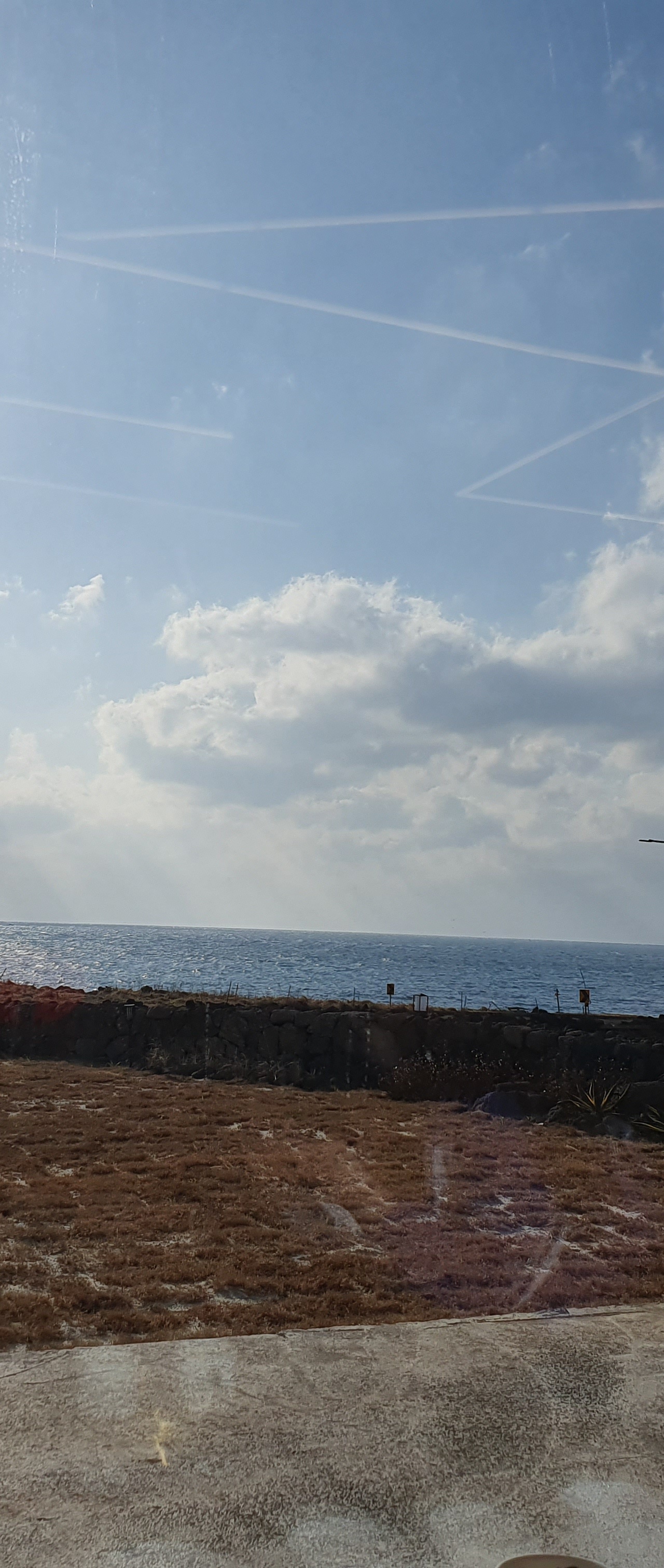 출처 : 식신 회원 '보리' 님의 리뷰 이미지