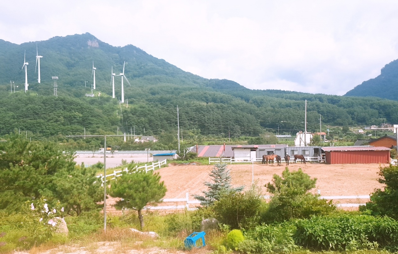 산마을 매장 방문 후 남겨주신 고객 리뷰 사진입니다.