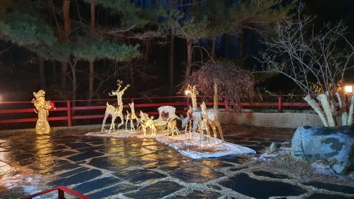 카페 아라미스 매장 방문 후 남겨주신 고객 리뷰 사진입니다.