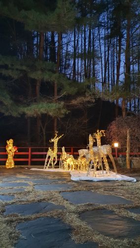카페 아라미스 매장 방문 후 남겨주신 고객 리뷰 사진입니다.