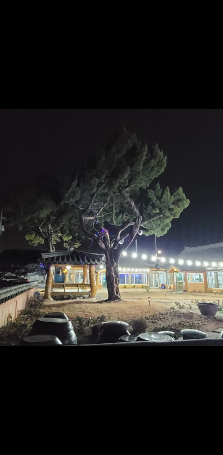 이화정손두부 매장 방문 후 남겨주신 고객 리뷰 사진입니다.