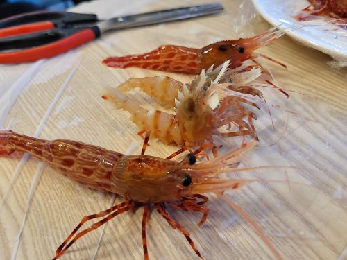 천금수산  매장 방문 후 남겨주신 고객 리뷰 사진입니다.